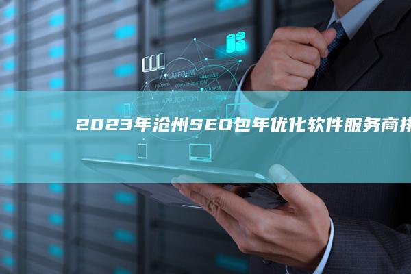 2023年沧州SEO包年优化软件服务商排名榜单